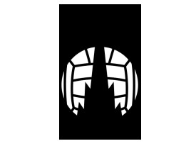 Falkirkc FC 